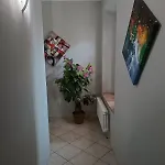 Camera Onlysleep
